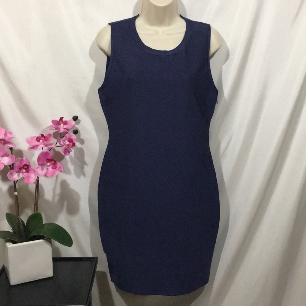 Stella Luce Fitted Dress